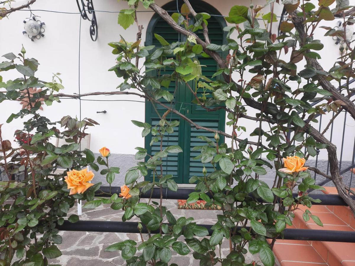 La Villa La Spezia Exterior foto